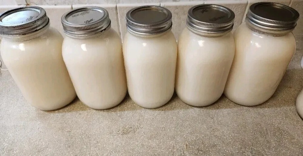 100% Organic Leaf Lard From Small Florida Farm