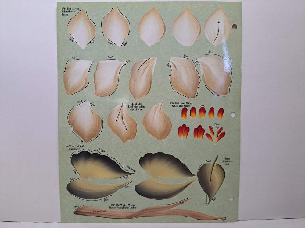 Donna Dewberry's (One Stroke) Teaching Guide Sheet - Magnolias
