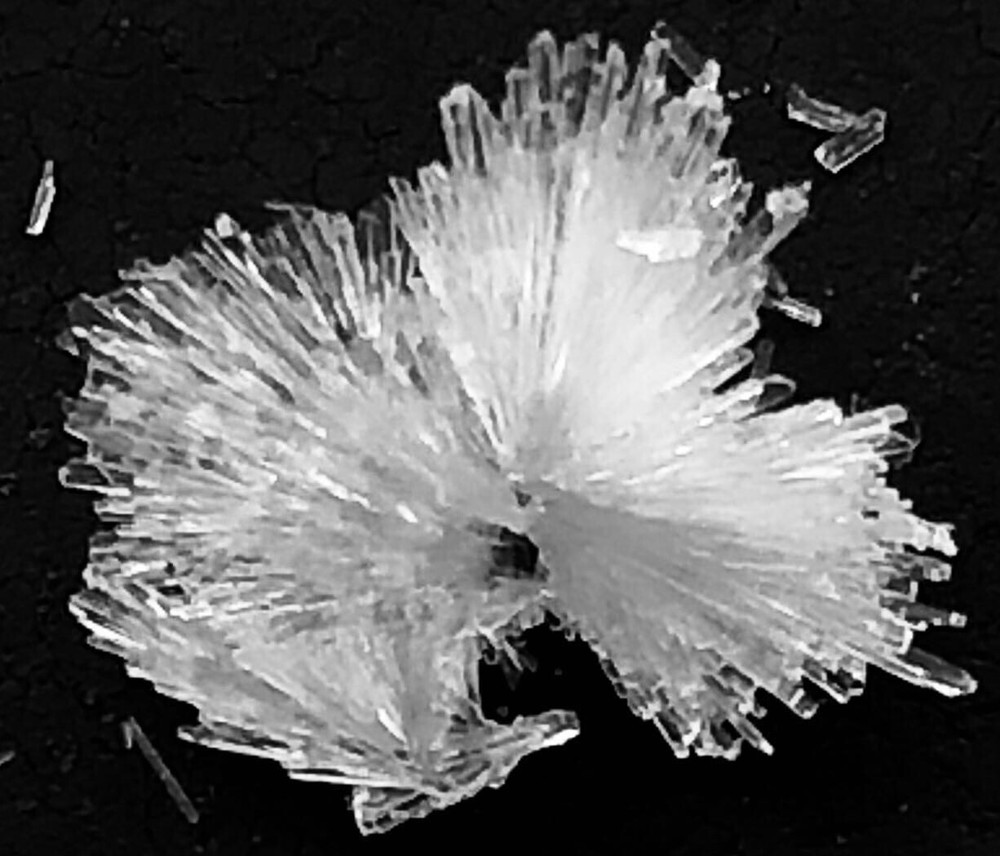 Paeoniflorin crystal  25 mg for $50