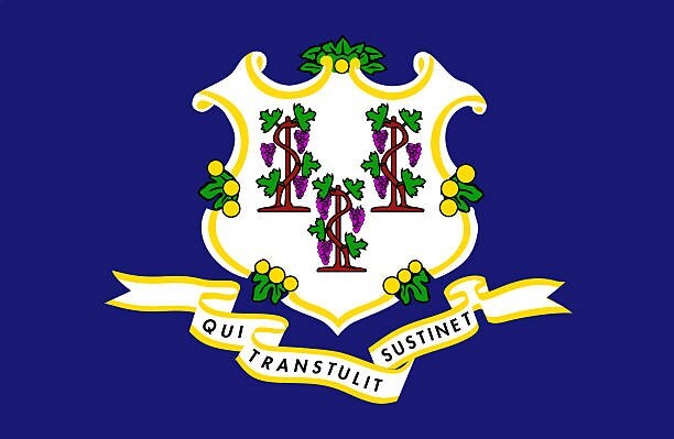 3'x5' Nylon Flag Connecticut State NEW
