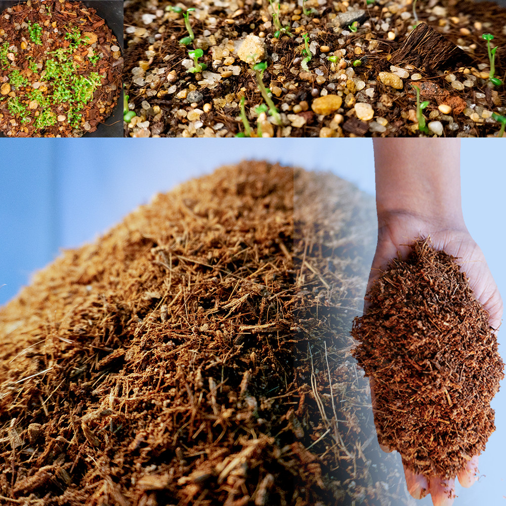 coco coir potting soil fast delivery