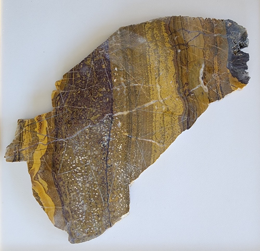 Orbicular Jasper Large Lapidary Slab