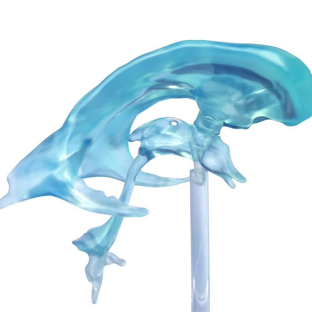 EVOTECH SCIENTIFIC Human Brain Ventricles Model for Anatomy Teaching Learning...