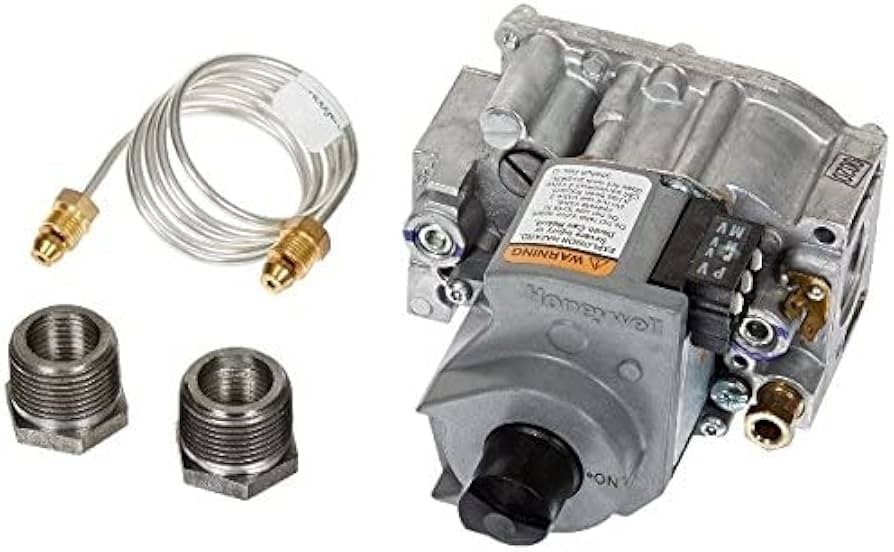 Raypak 003900F Kit-Gas Valve