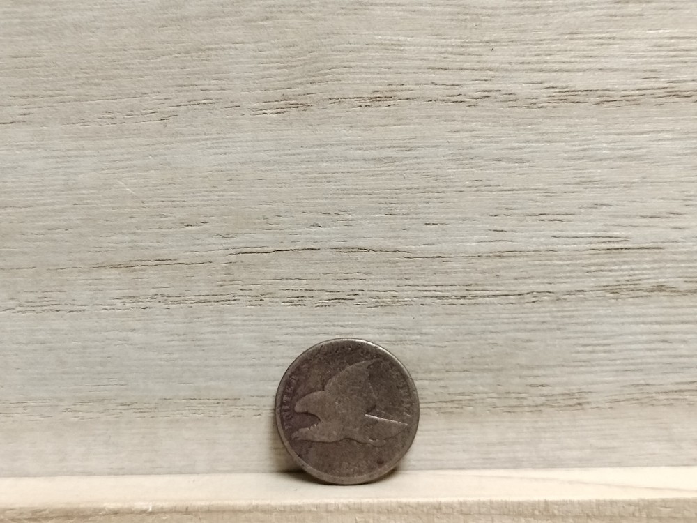 1858 Flying Eagle Cent US Coin (Small Letters?)