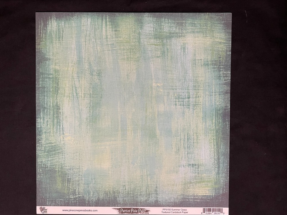 PINE CONE PRESS "PAINTED PAGE" SS HEAVY PAPER