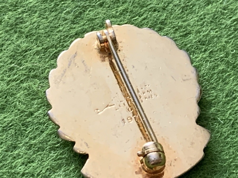 Vtg Certified Nursing Assistant Lapel Pin 1977