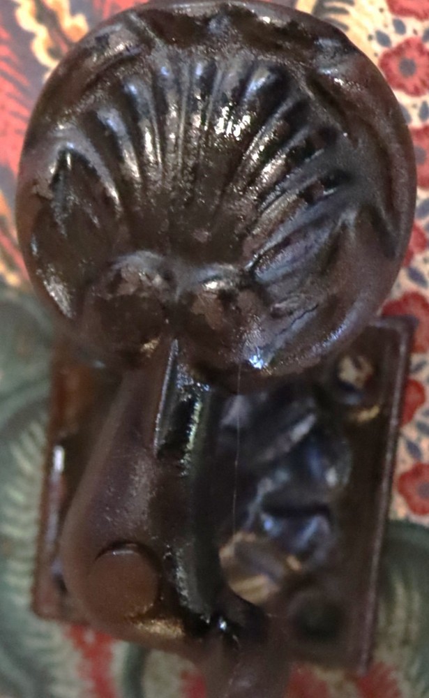 Vintage Shutter Dog Clam design