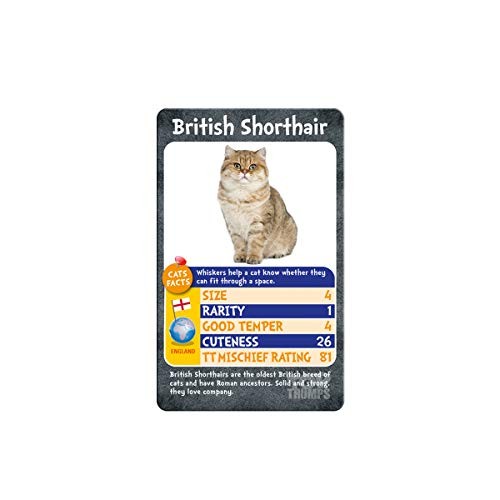 Cats and Kittens Card Game