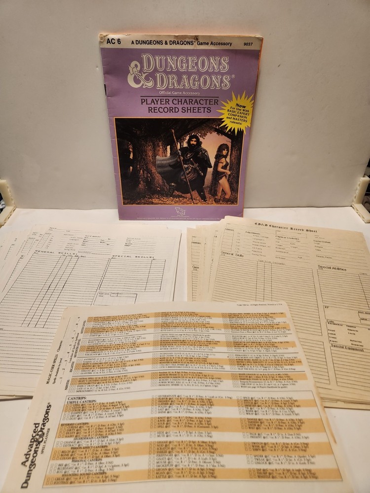 Dungeons & Dragons Player Character Record Sheets AC6 Plus Extra Loose Sheets