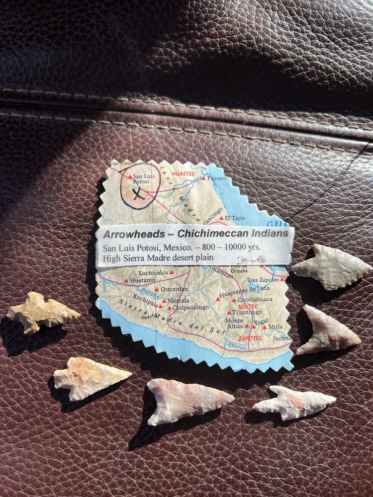 Mexican Arrowheads