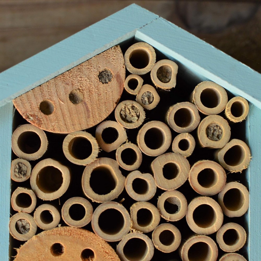 Bird Products -C Teal Bee House