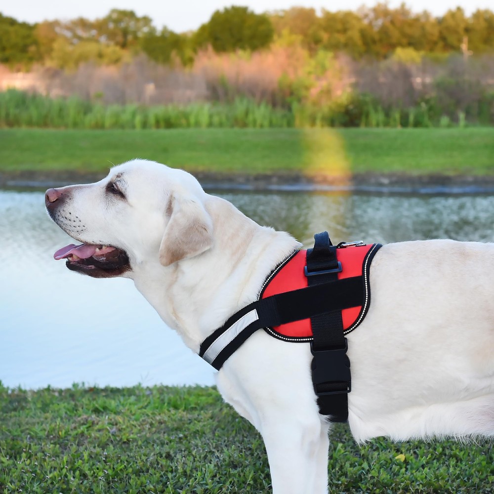 Red Reflective No-Pull Adjustable Dog Harness with Handle Girth 27-34 in
