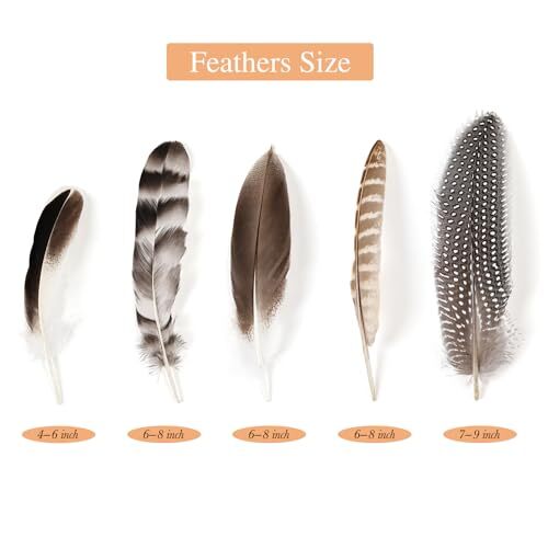 40pcs Natural Pheasant Feathers Bulk Spotted Feathers 5 Styles Mixed Feathers