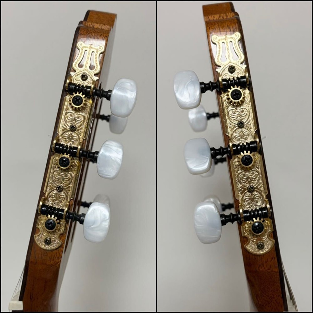 Jose Antonio Gut Classical Guitar Soft Case 6-String