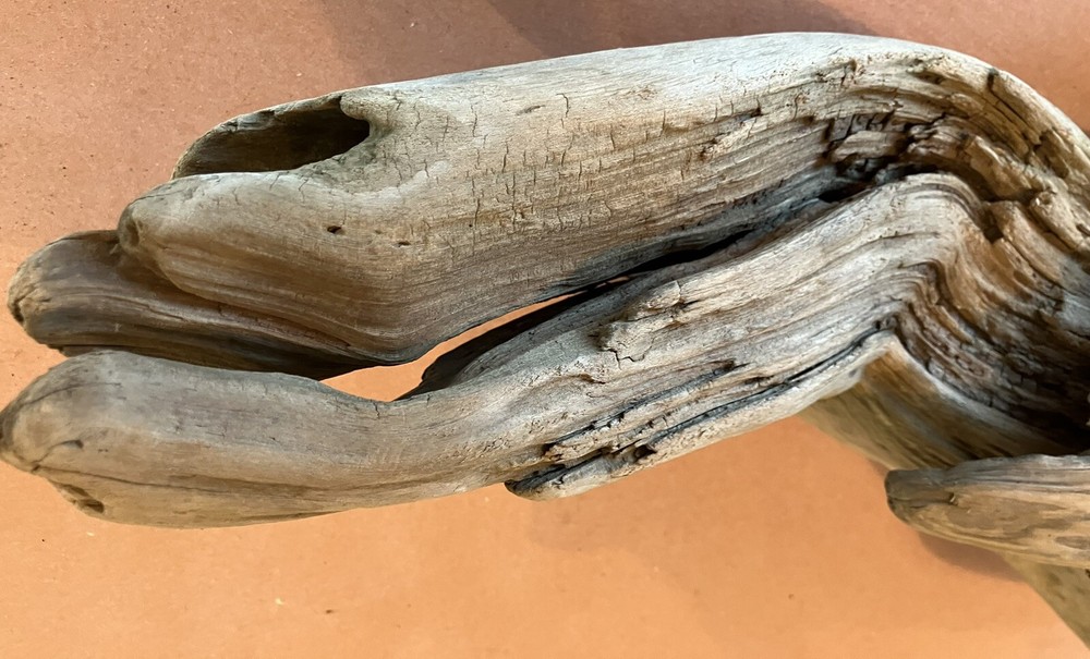 Beautiful Driftwood