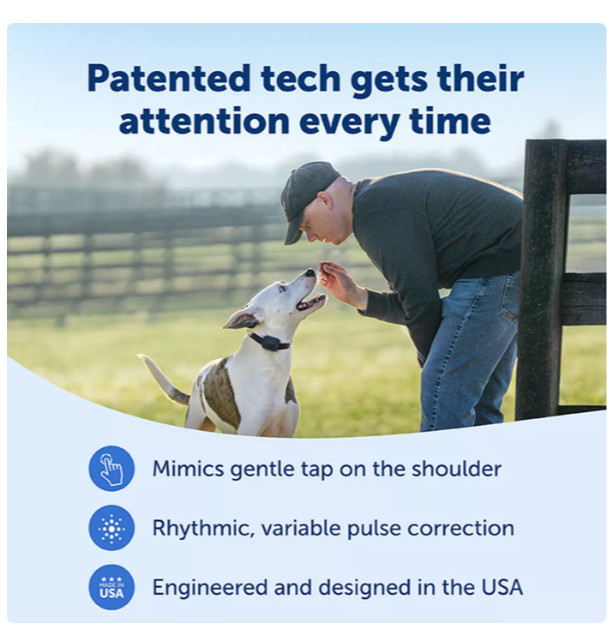 PetSafe Core Add-A-Dog Training Collar Waterproof 1000ft LED Light