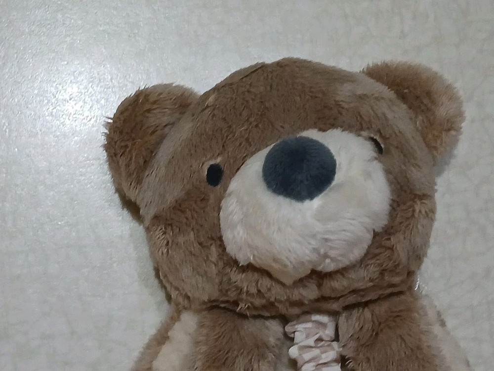 Itzy Ritzy Baby Lovey Teddy Bear Teether Comfort