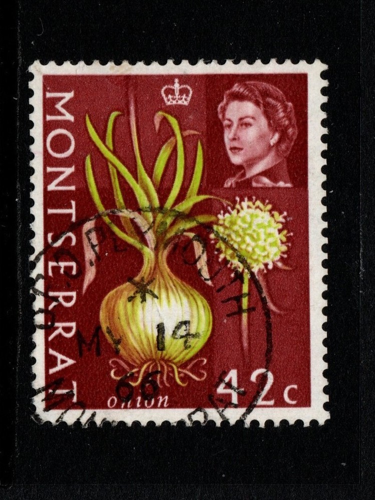 MONTSERRAT SG171 42c ONION Nice Used