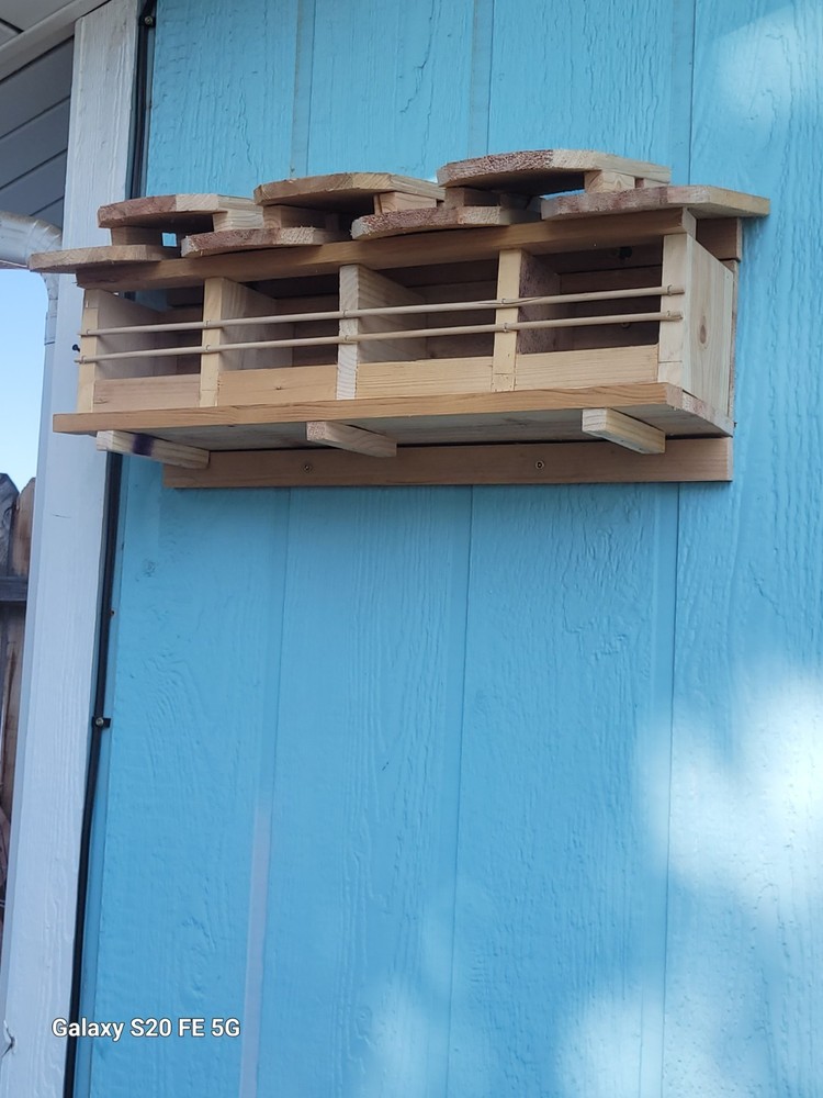 Sparrow Nesting Box with 4 compartments