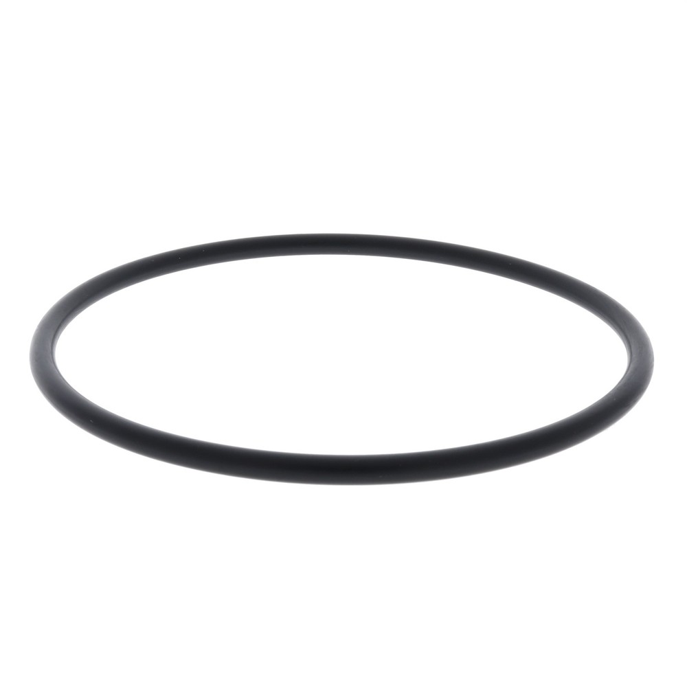 Amiad Replacement O-Ring Seal for 2" T-Super Filter