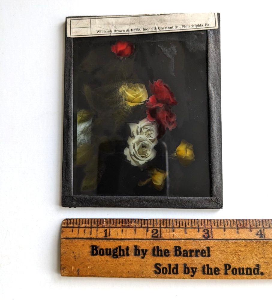 Magic Lantern Slide Flower Arrangement Red Yellow White Roses