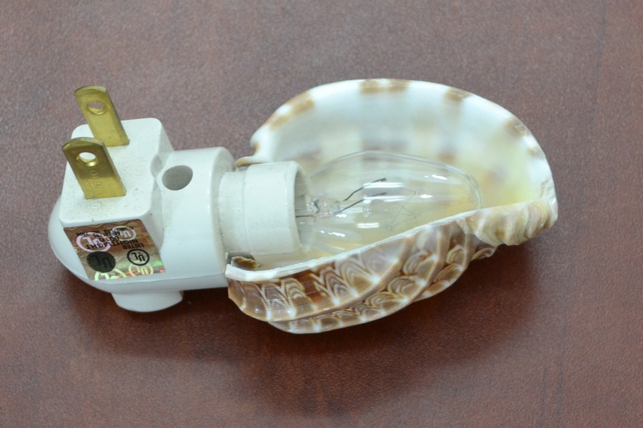 HARPA SEA SHELL NIGHTLIGHT BATHROOM KITCHEN #7189