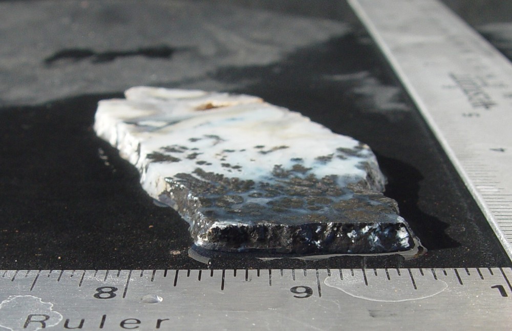 Medicine Bow Dendritic Plume Agate Lapidary Slab T1274