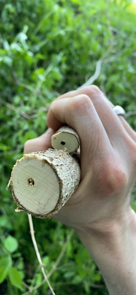 Extendable Handles Anvil Lopper Tree Trimming Branches Cutter Lightweight Tool