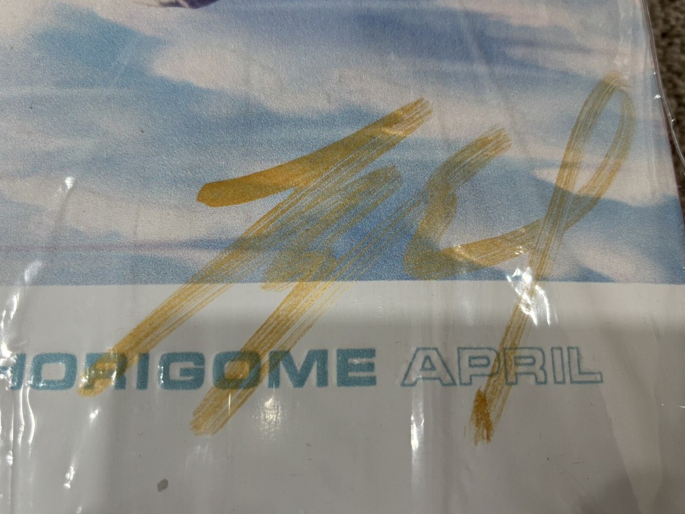 YUTO HORIGOME - APRIL FUJI 2 - SIGNED DECK SIZE 8