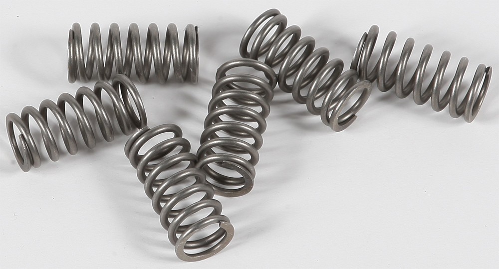 EBC Clutch Spring Set - Clutch Springs - CSK117