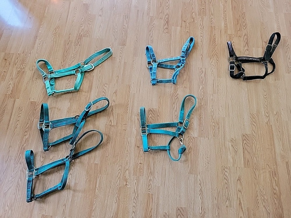 Used Various Brand Halters