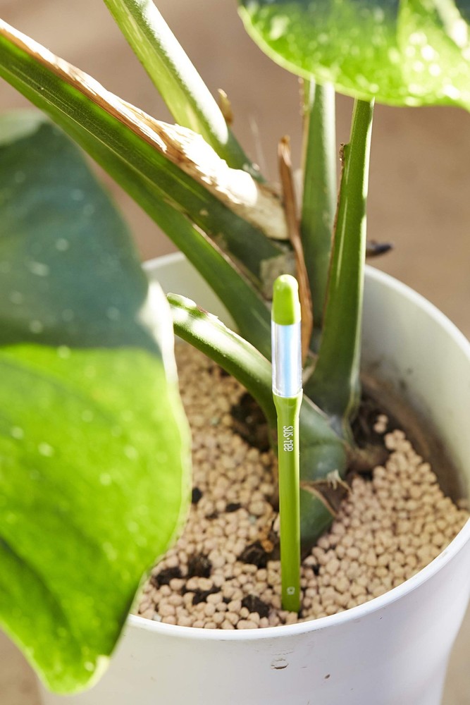 5 Pack Plant Soil Moisture Sensor Meter Small Watering Indicator for Potted Plan