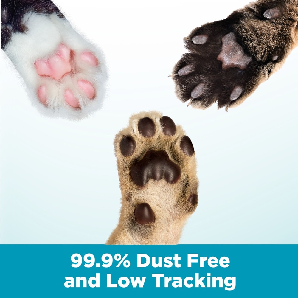 Cloud Control Multi-Cat Clumping Cat Litter W/ Hypoallergenic Light Scent