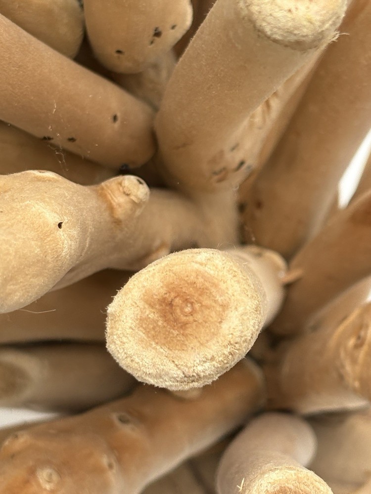 Table Top Driftwood Christmas Tree 16”