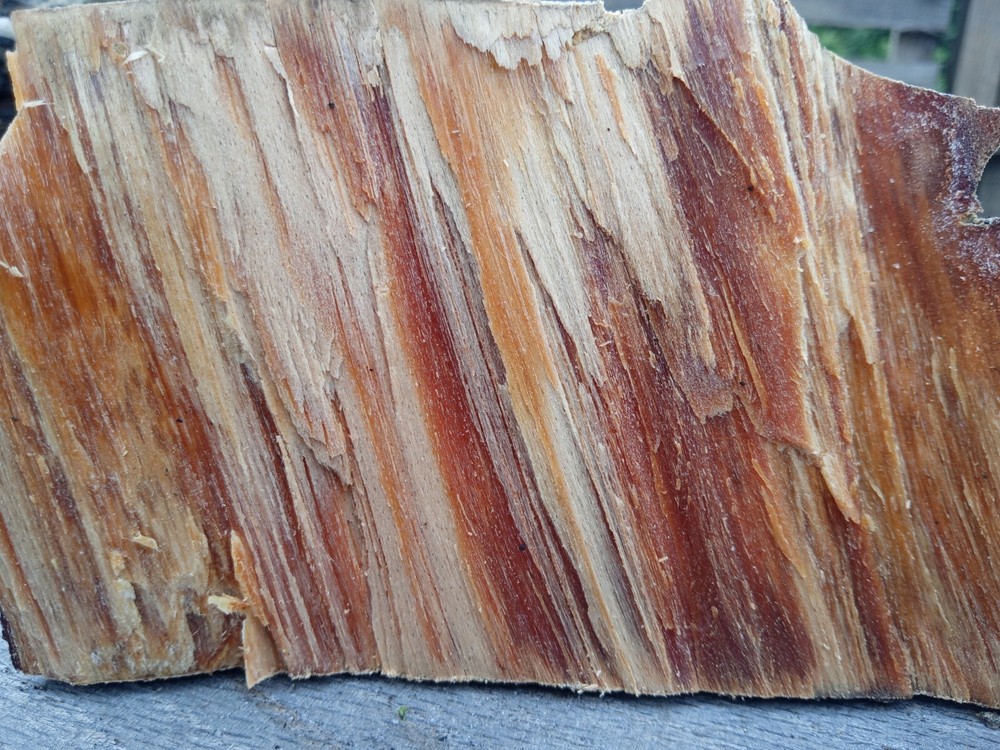 Lighter Knot / Fatwood