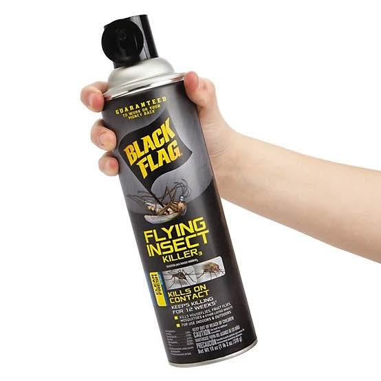 Black Flag Insect Killer Aerosol 18 oz
