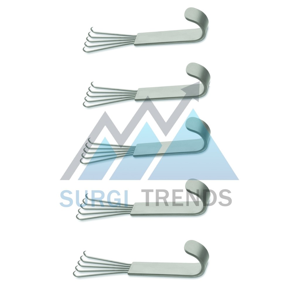 Anderson Bear Claw Retractor 5 Sharp Prongs Facelift Hook Instruments 12cm