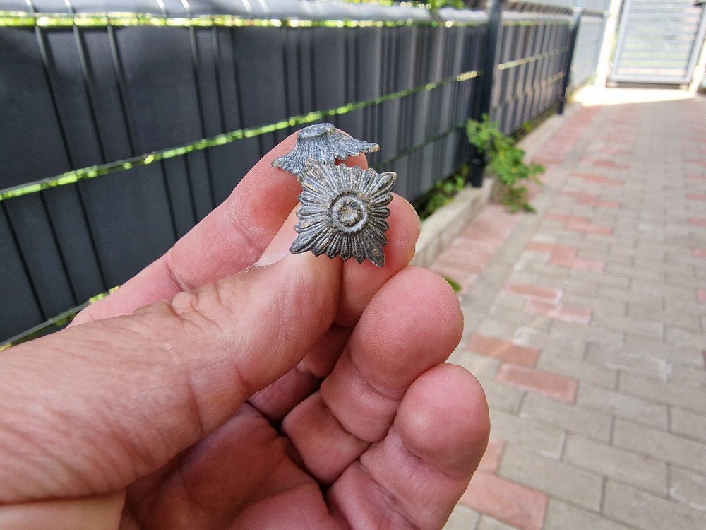 WW2 Original German Badges Front Item Relic.