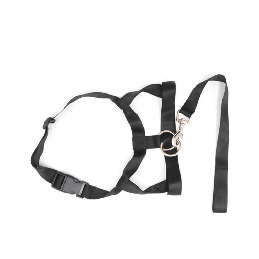 Padded Head Collar Champion Dog Training Halter Stops Dog Pulling Training Tool