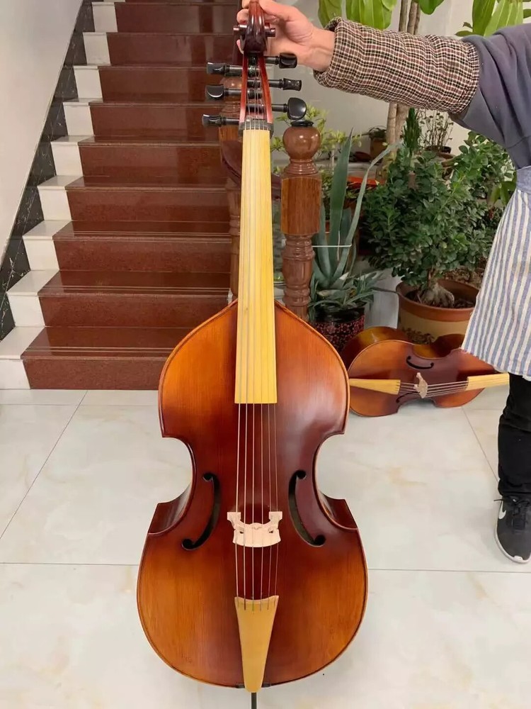 profession SONG maestro 6 string 27" viola da gamba,Bird's eye maple back