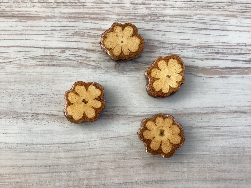 10 Pcs Ayahuasca Vine Slice 2.7cm