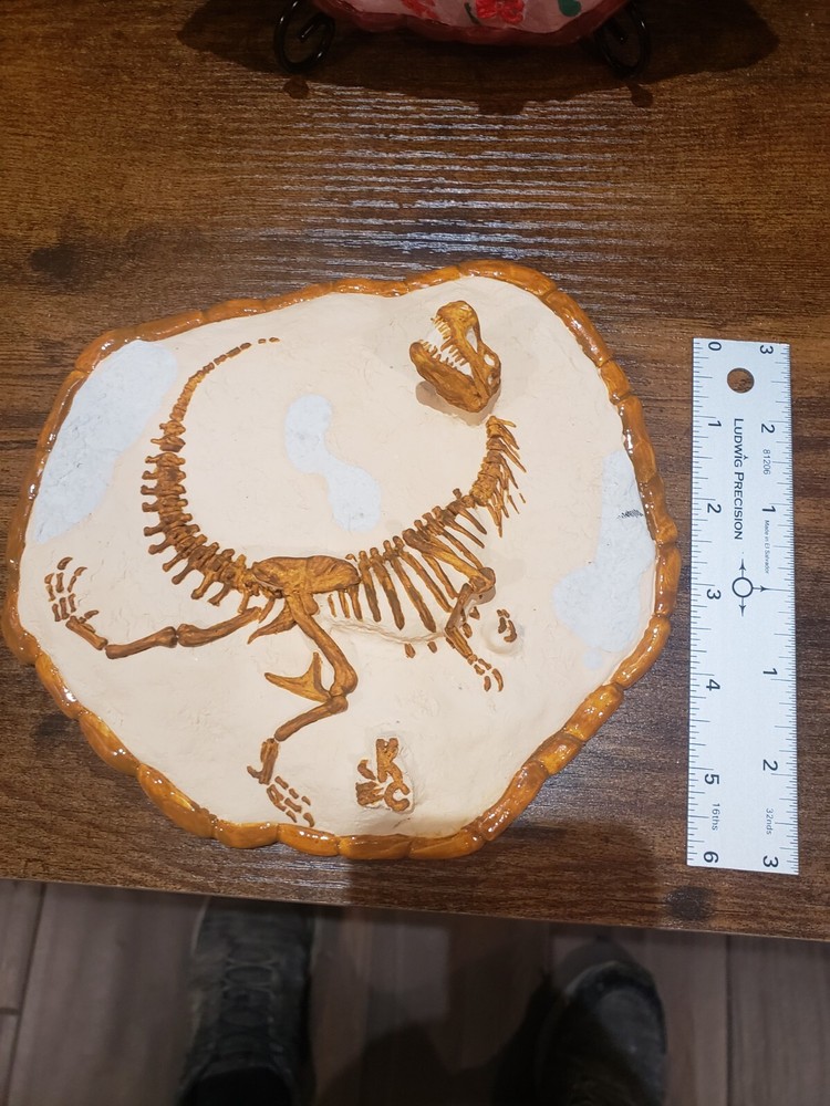 T-Rex Dinosaur fossil display