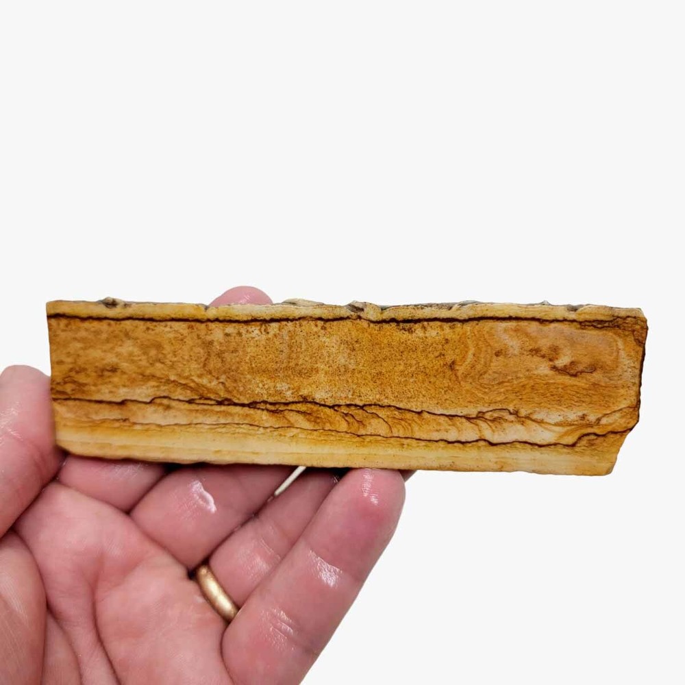 Chicken Track Jasper Slab!  Lapidary Stone Slab!