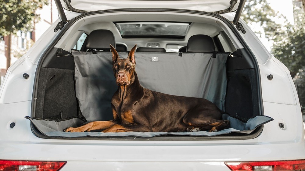 GF PET Pet Cargo Cover