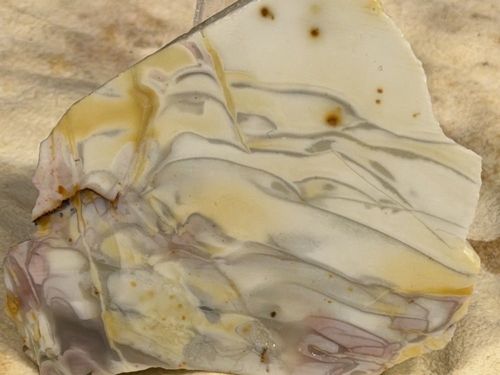 Willow Creek Jasper End Cuts, Lot # 309