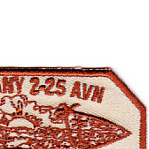 2nd Squadron 25th Aviation Regiment E Company Patch