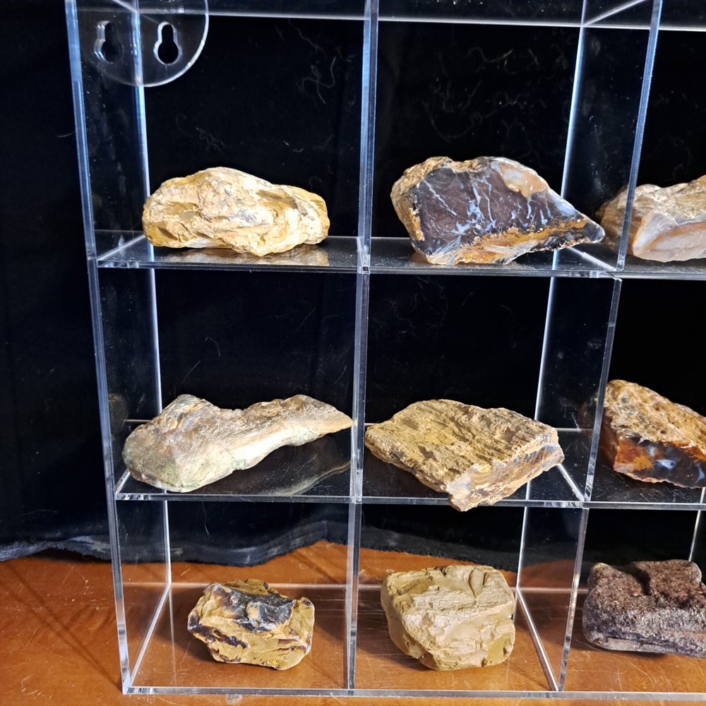 PETRIFIED WOOD WALL DISPLAY CASE 4 POLISHED ENDS DIFFERENT SPECIMENS COLORADO
