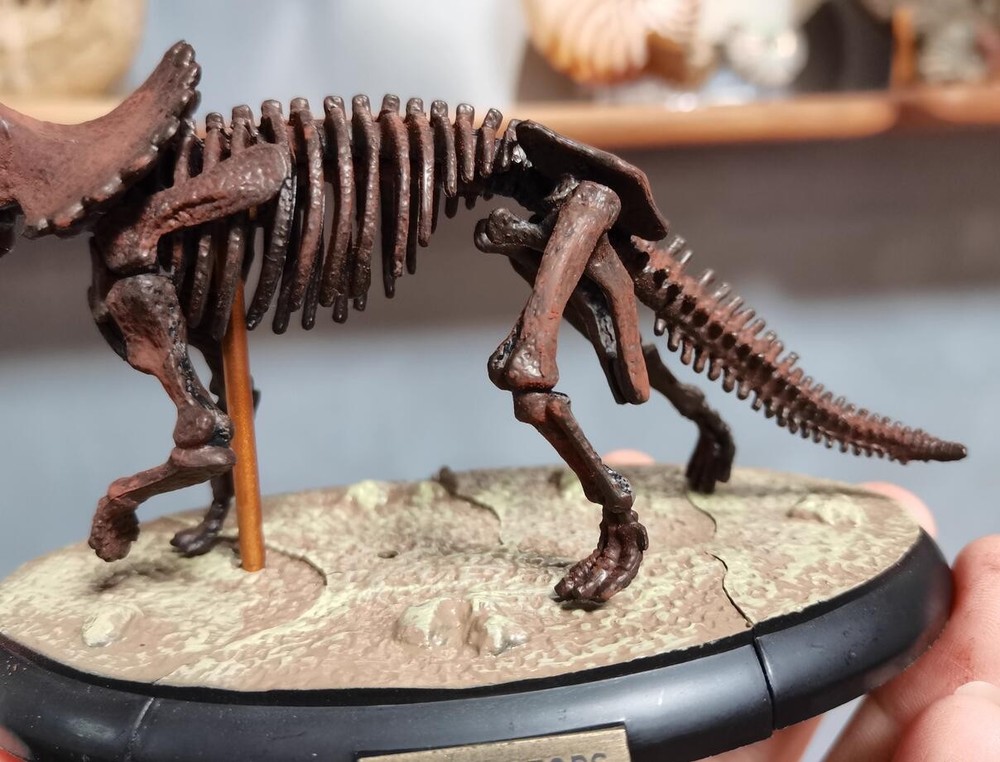 Triceratops Skeleton Model Dinosaur Model Statue Display Animal Model