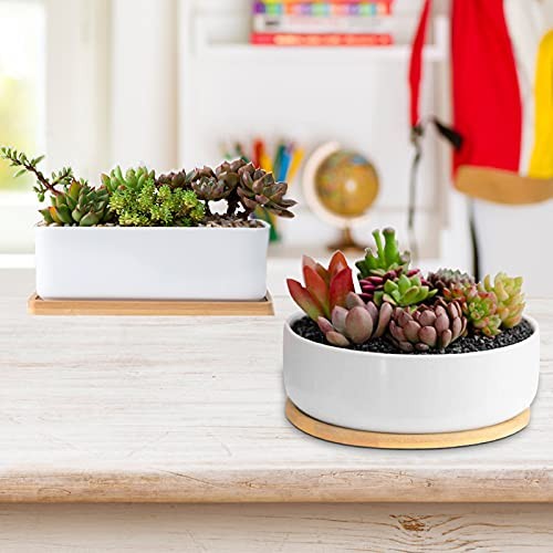 White Ceramic Succulent Plant Pots, 1 Rectangular Flower Pot Rectangular+round